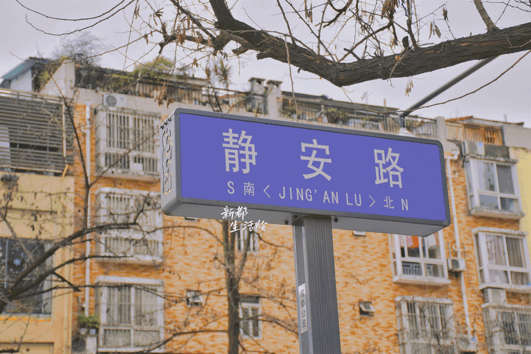 新都这条巷巷里，居然藏着这么多美食